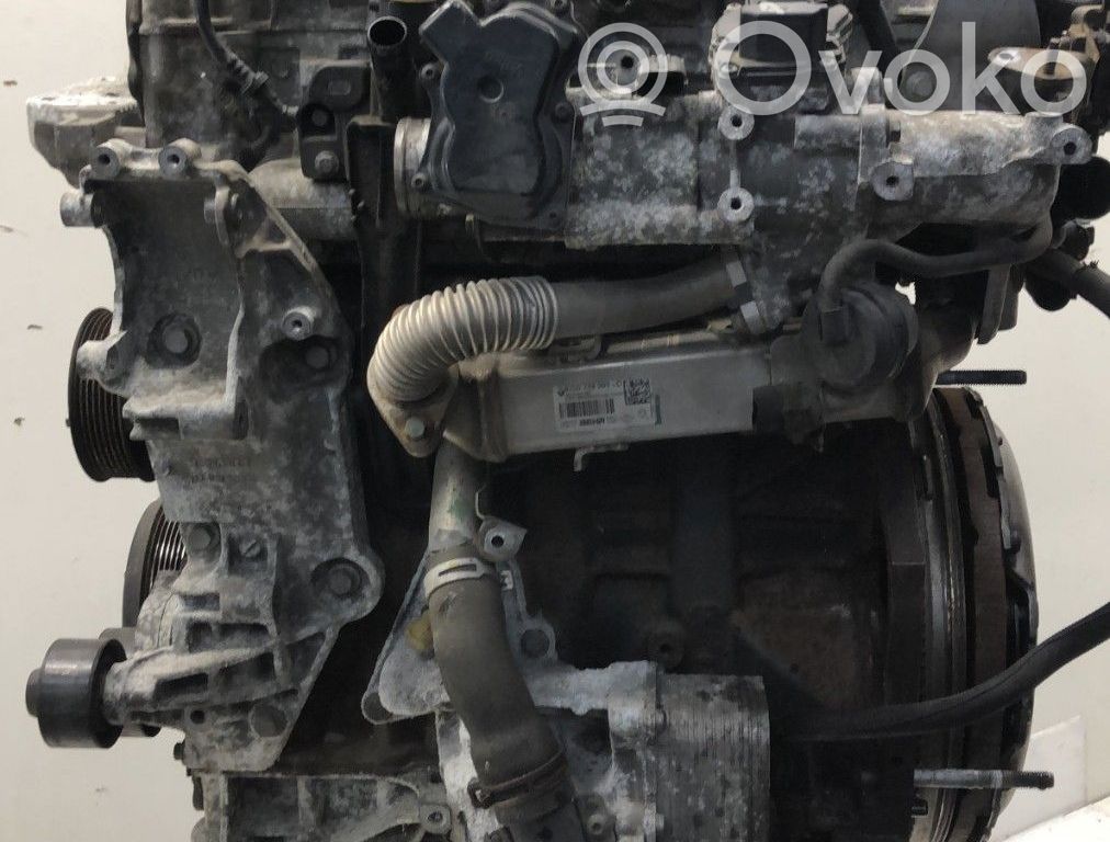 Motor