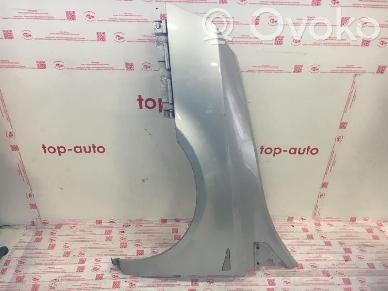 Renault Vel Satis Sparnas 
