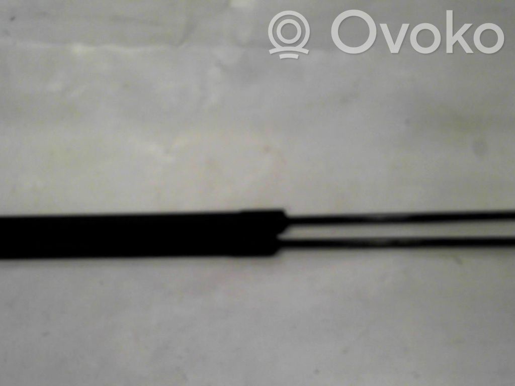 Ford Focus Tailgate/trunk strut/damper 