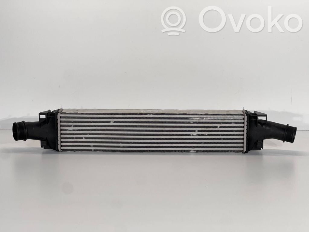 Interkūlerio radiatorius   8W0145805