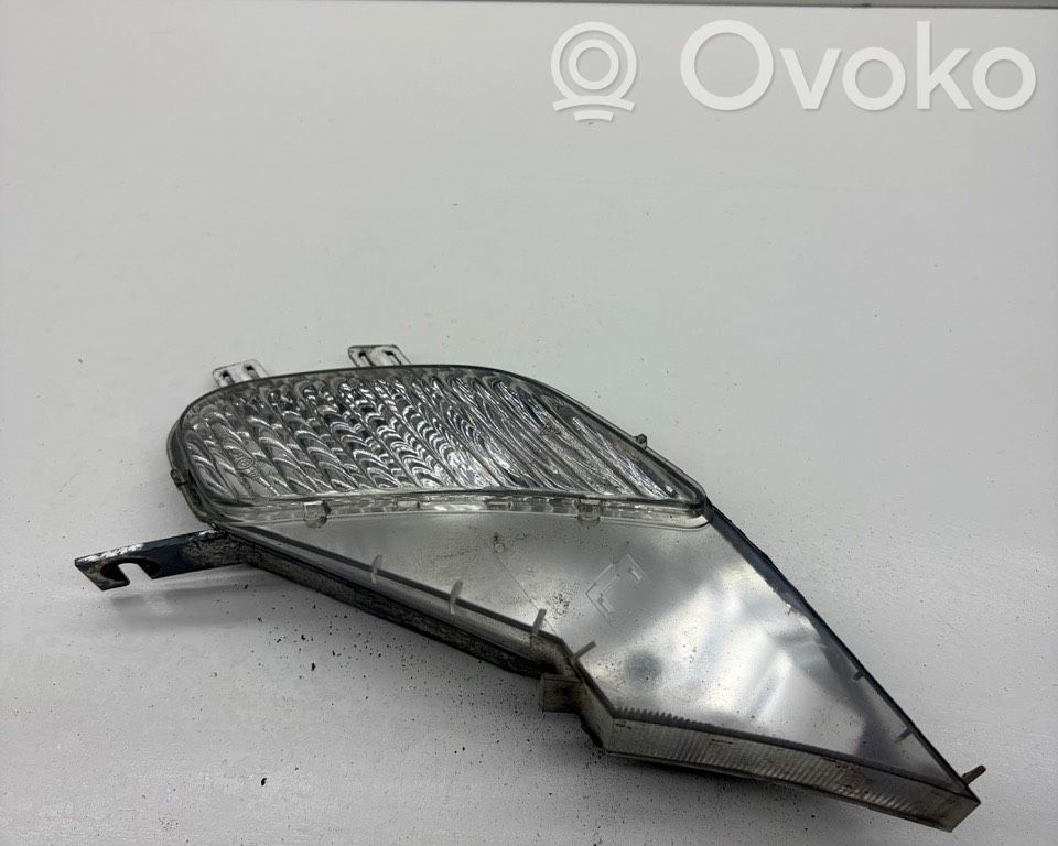 Porsche Cayenne (9PA) Frontblinker 