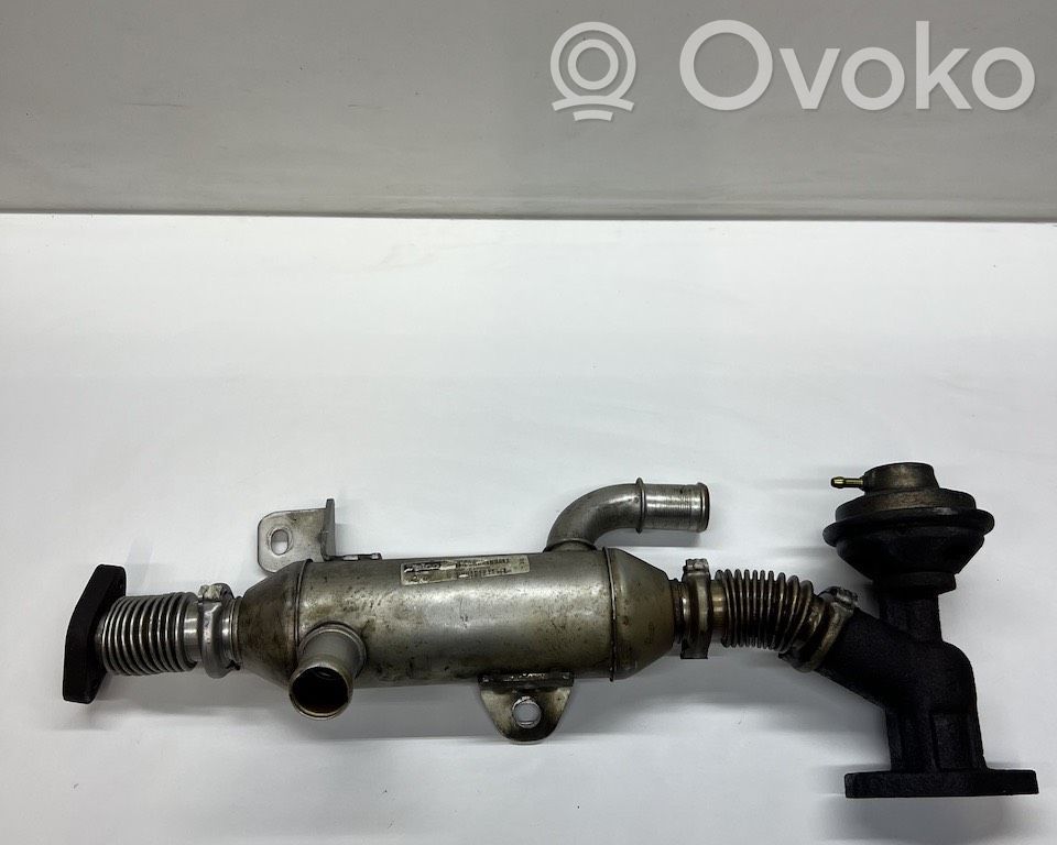 Citroen Xsara Picasso Răcitor supapă EGR 