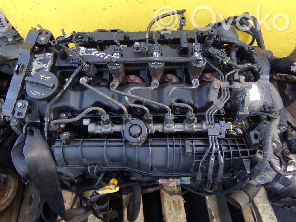 Variklis   D4FD,29SP2