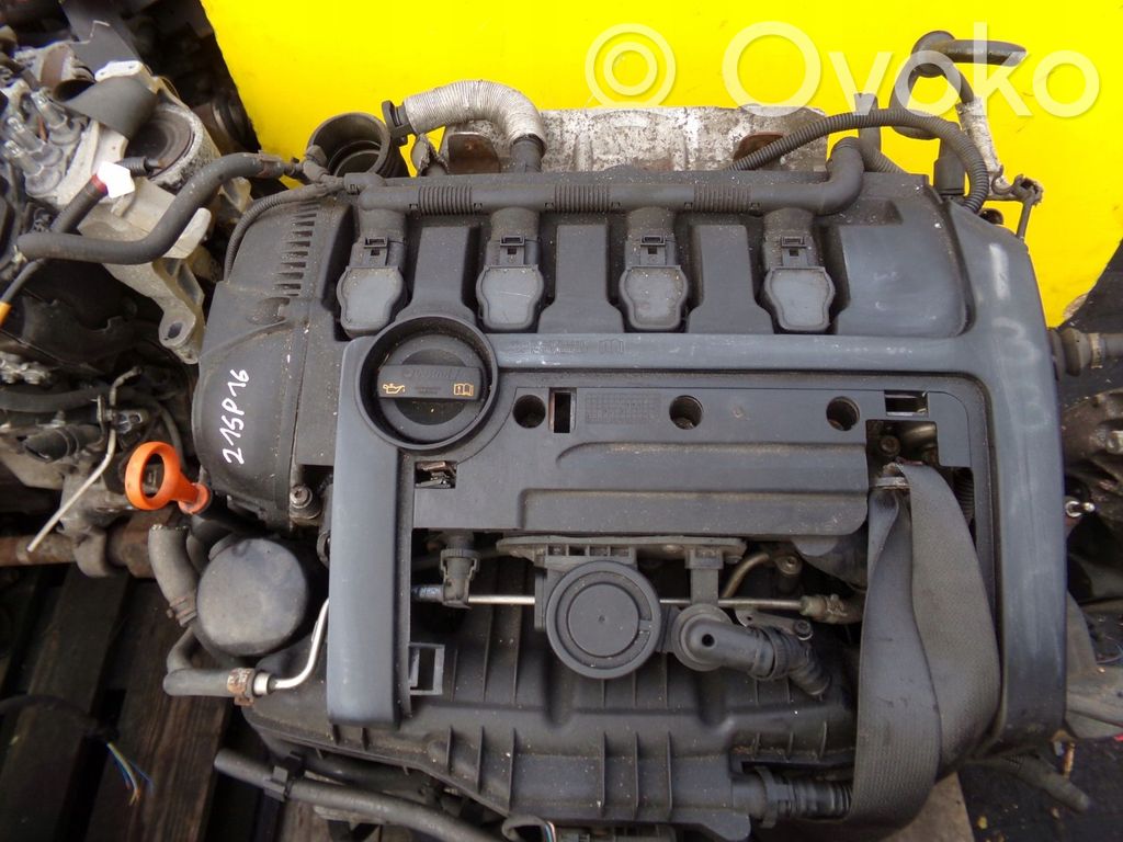 Audi A3 S3 8P Kompresor / Sprężarka klimatyzacji A/C 