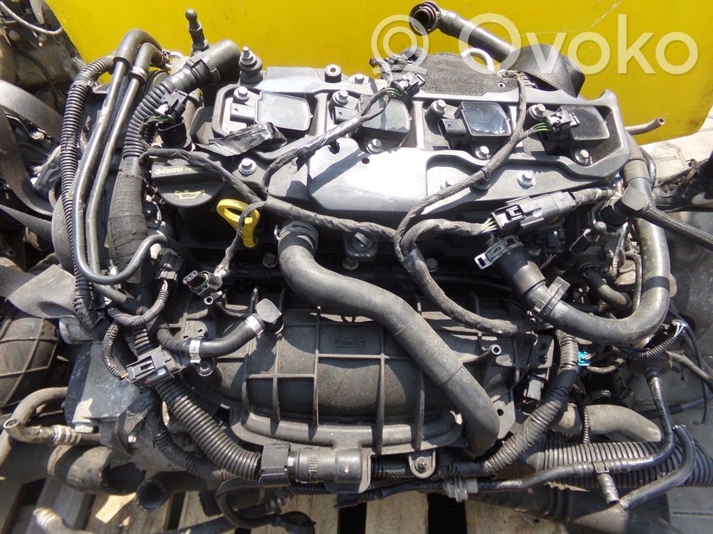Ford Fiesta Motor 