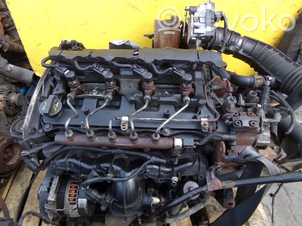 Motor   DRRB,29SP28,DRFB