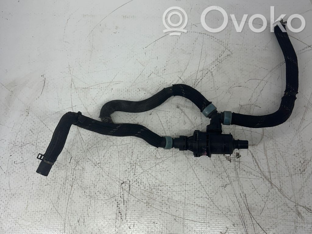 Termostato   212006896R,033617