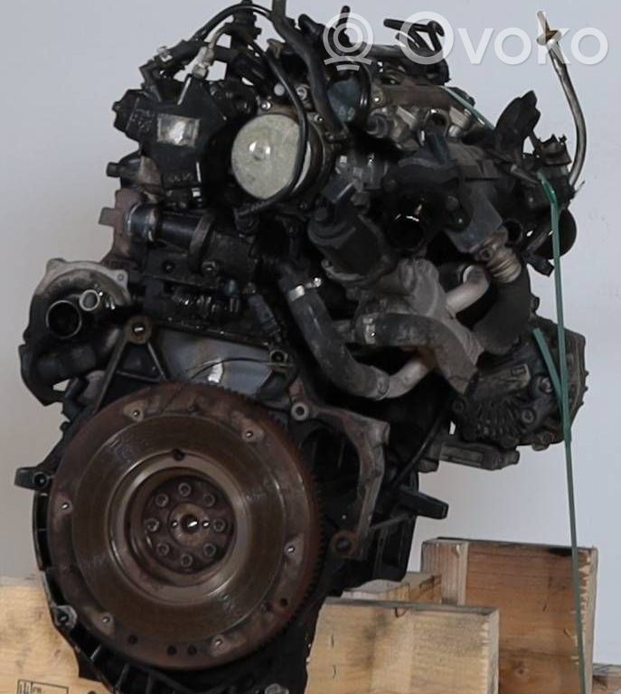 Motor   5641UP,71748408