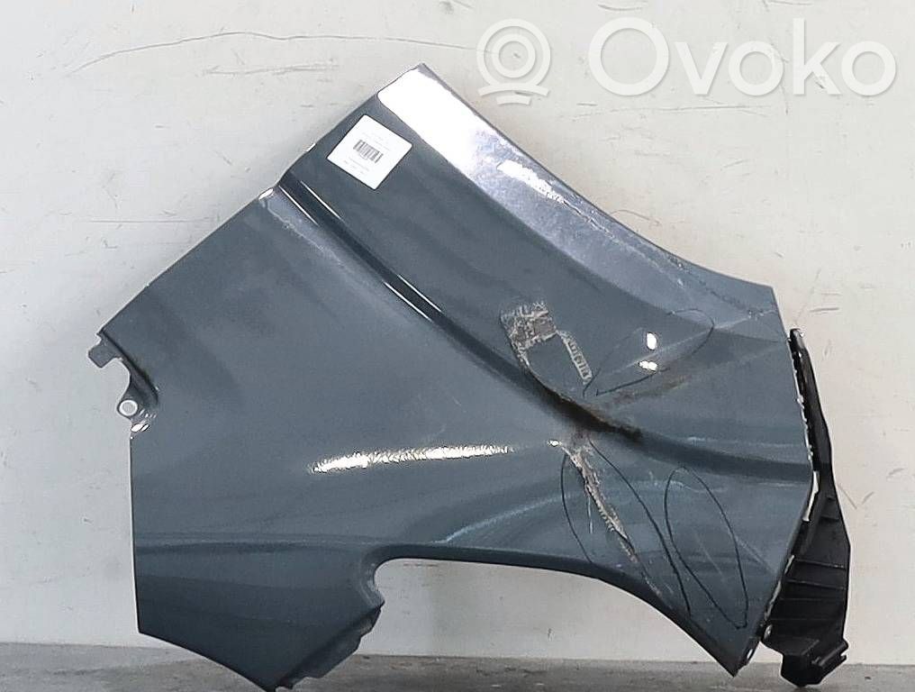 Fiat Ducato Parafango 