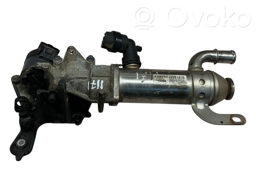Peugeot 508 RXH Chłodnica spalin EGR 