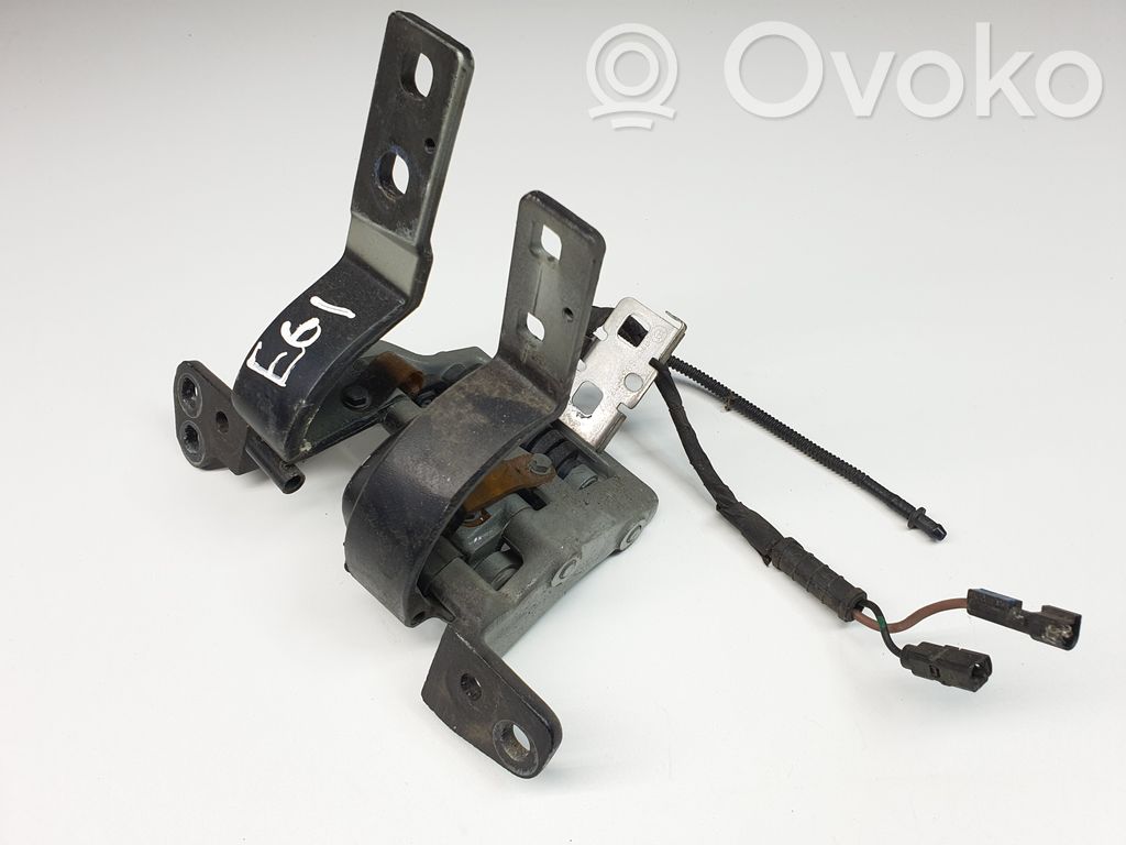 Tailgate/trunk/boot hinge   7061383