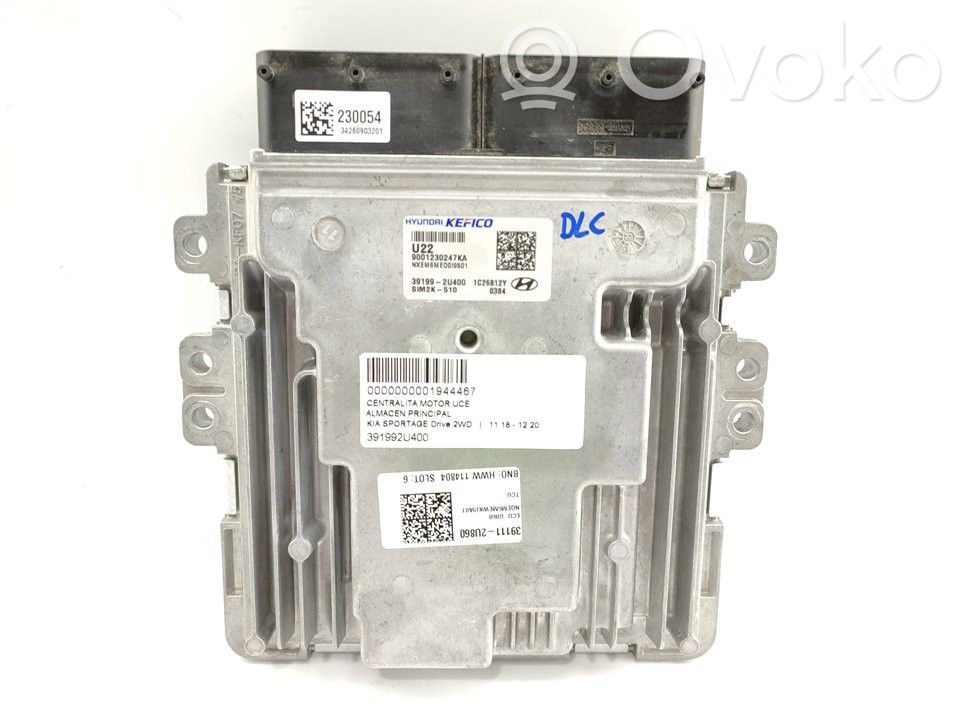 KIA Sportage Engine control unit/module 