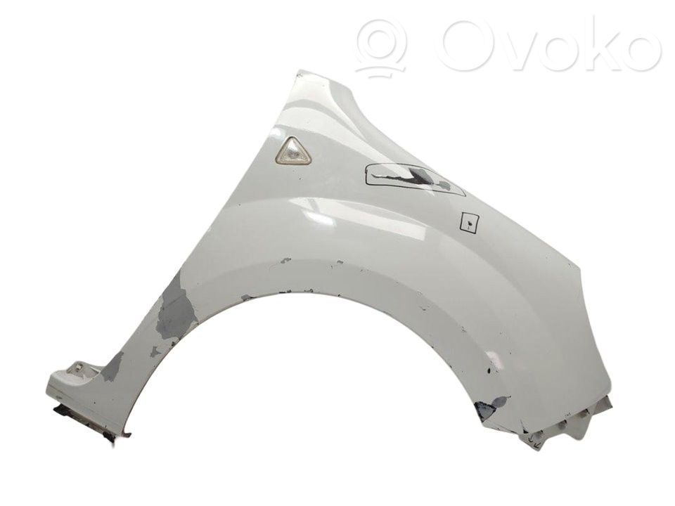 Renault Kangoo II Fender 