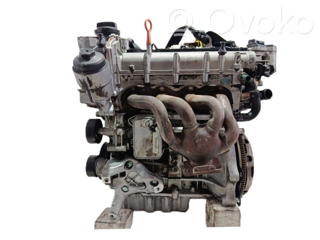 Motor   BLF