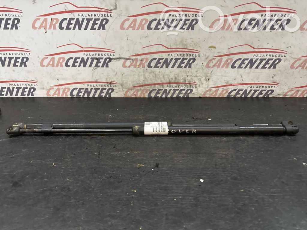 Tailgate/trunk strut/damper   6714DA