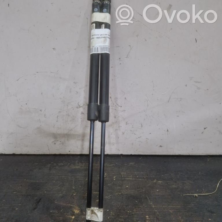 Tailgate/trunk strut/damper   GN475550