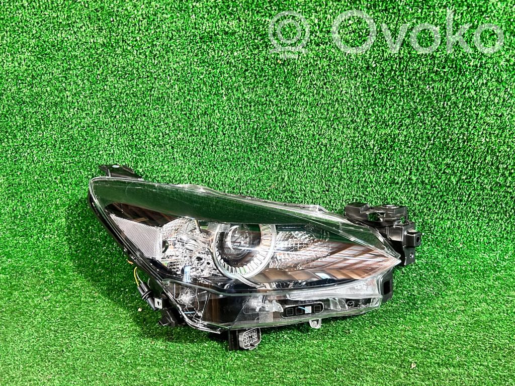 Headlight/headlamp   D43N51030M5