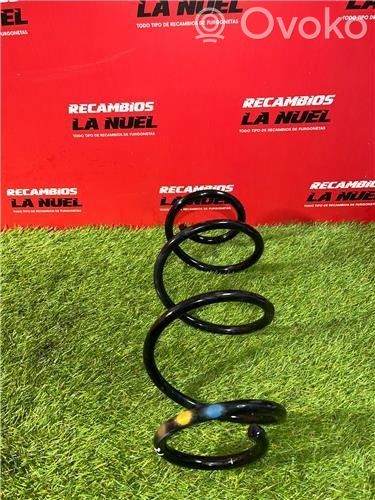 Front coil spring