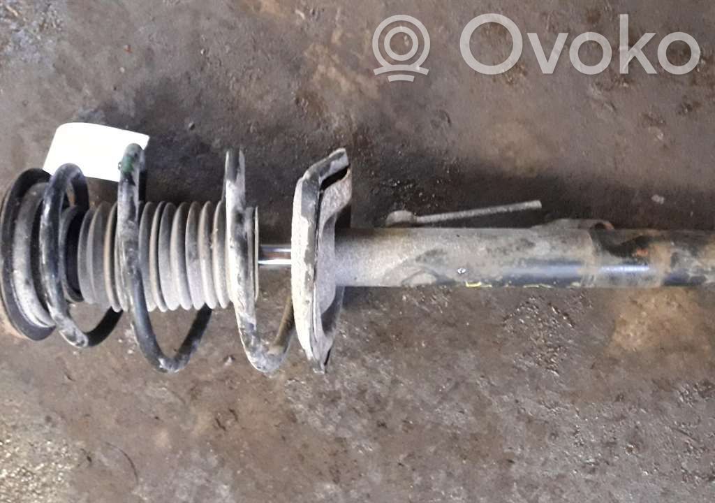 Front shock absorber with coil spring