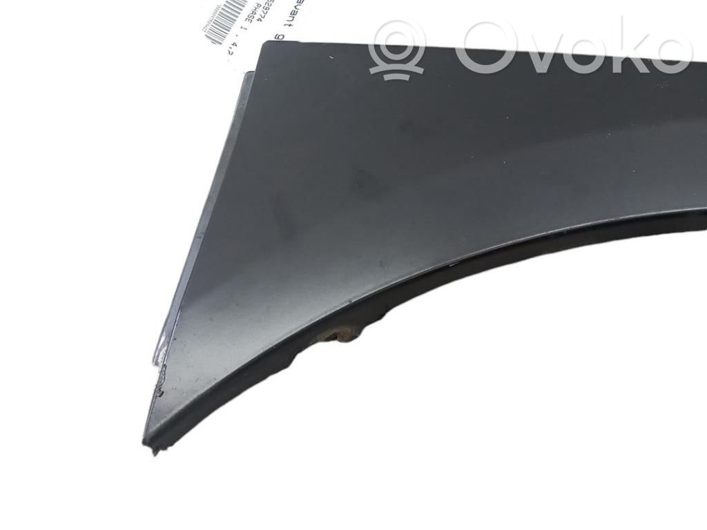 Guardabarro   420821105C