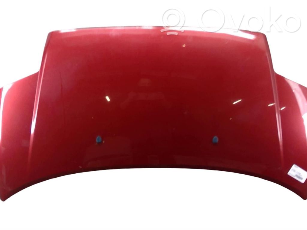 Engine bonnet/hood   00007901K2