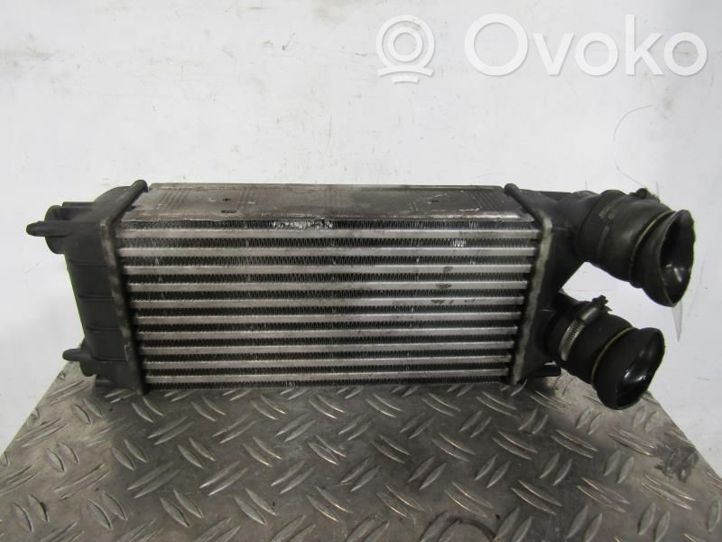 Radiador intercooler   00000384N9