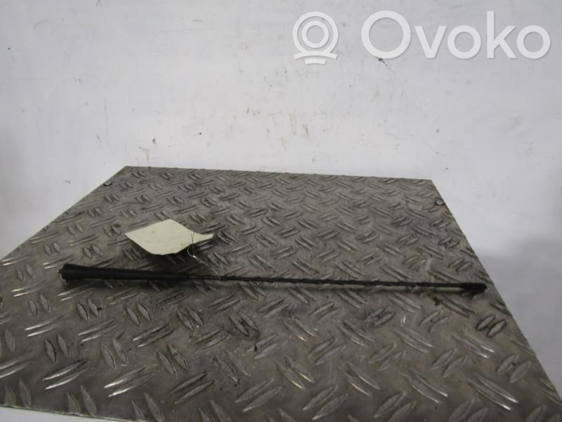 Citroen C4 Grand Picasso Radioantenne 