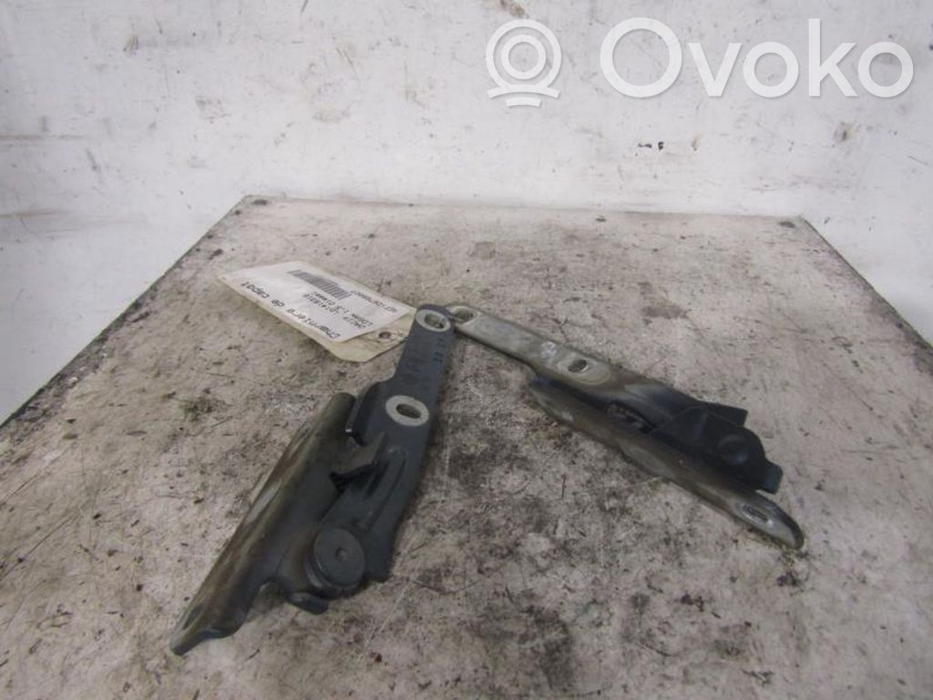 Engine bonnet/hood hinges   6001546876