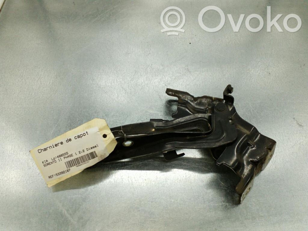 Engine bonnet/hood hinges   791102P000