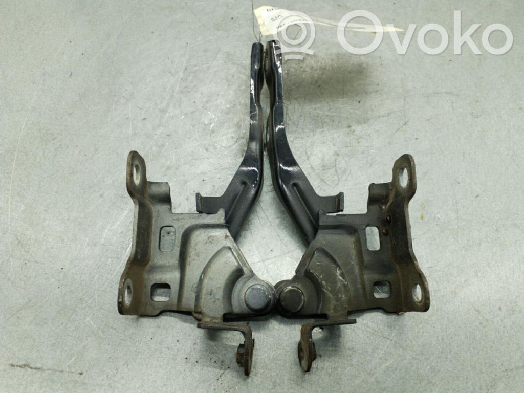 KIA Soul Engine bonnet/hood hinges 