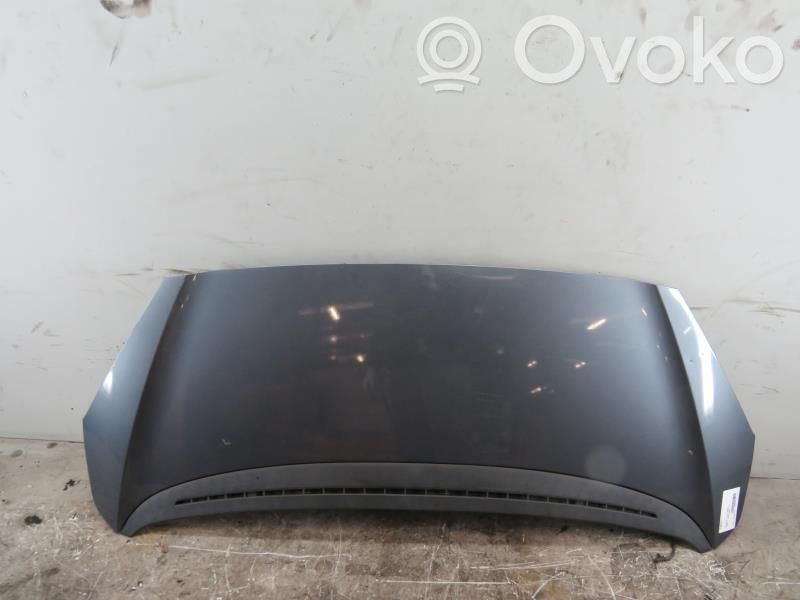 Engine bonnet/hood   7901Q5