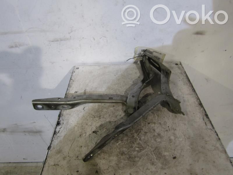 Peugeot 307 Scharnier Motorhaube 