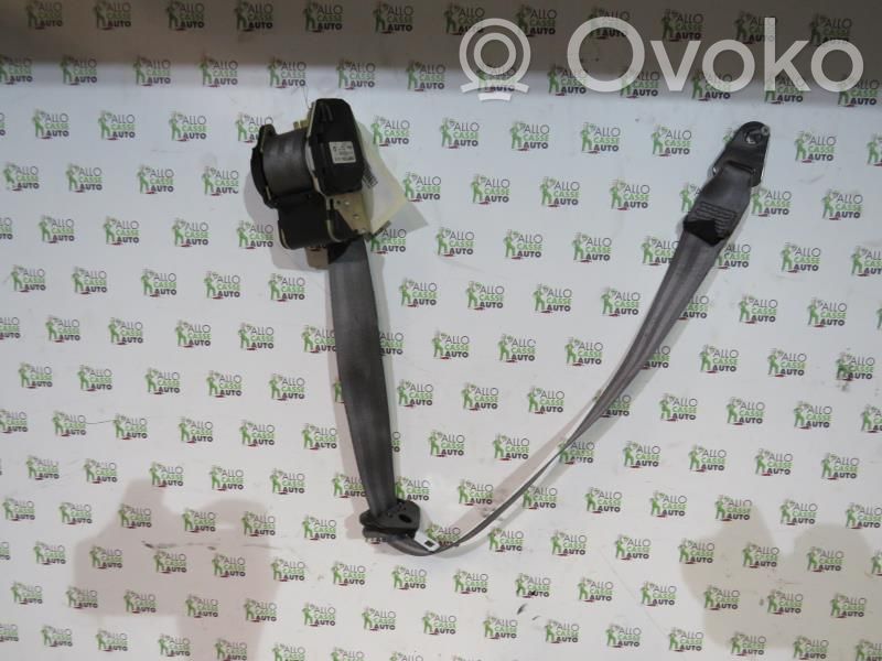Cinturón delantero   8972RE