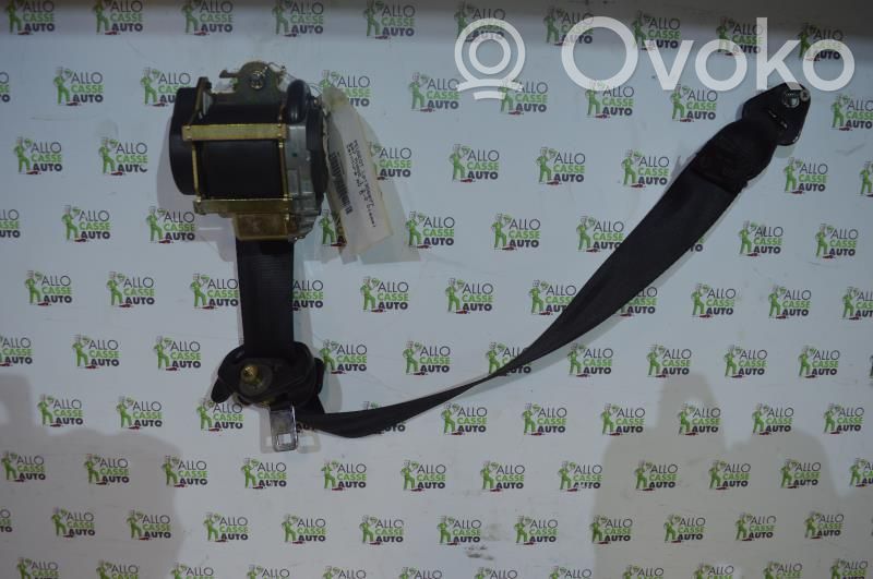 Cinturón delantero   8974CE