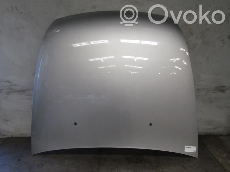 Motorhaube   7901L2