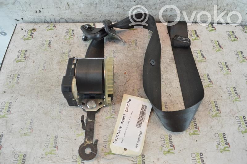 Cinturón delantero   8200620345