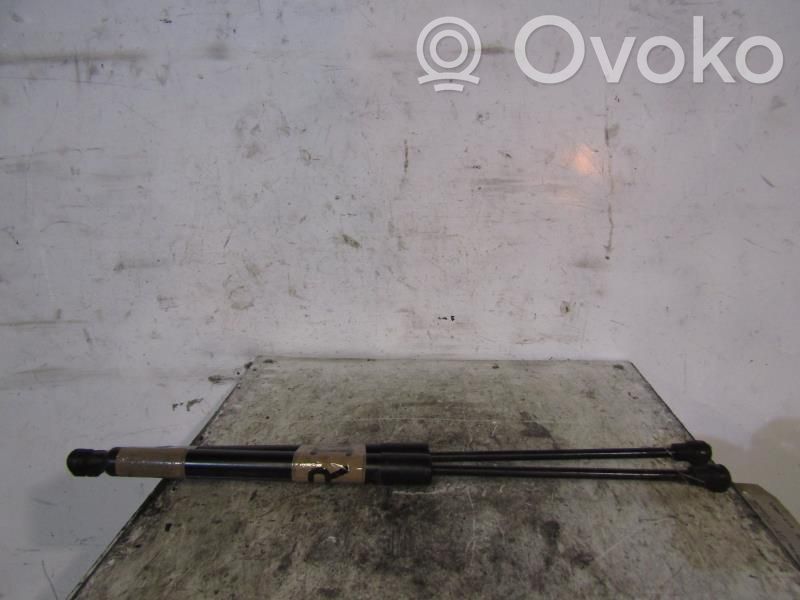 Tailgate/trunk strut/damper   904502915R