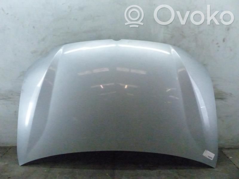 Capó/tapa del motor   6101021101