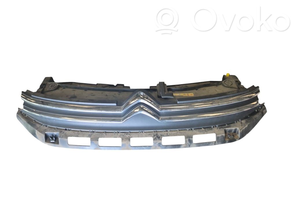 Front grill   98120634XT