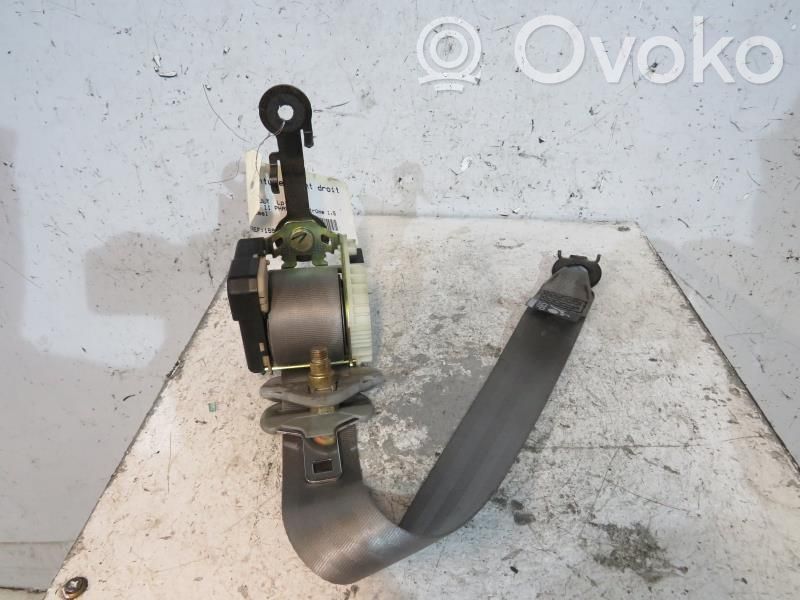 Cinturón delantero   8200081643