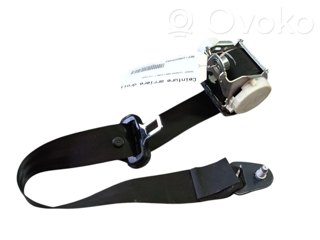 Cinturón trasero   8975SJ