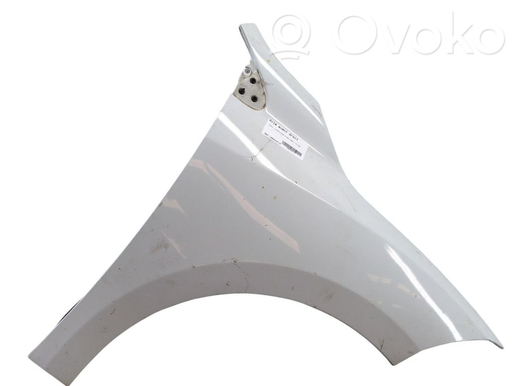 Guardabarro   631005149R