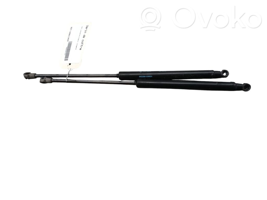 Tailgate/trunk strut/damper   1542413