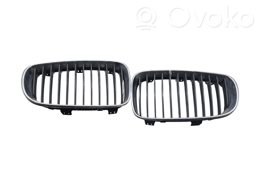 Front grill   51137166440