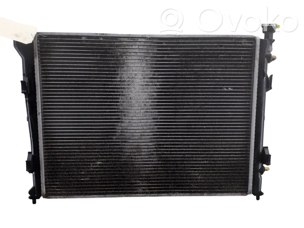 Coolant radiator   253101H050