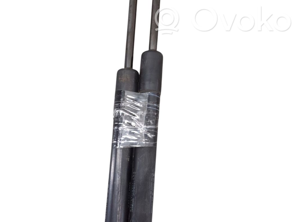 Tailgate/trunk strut/damper   904524666R