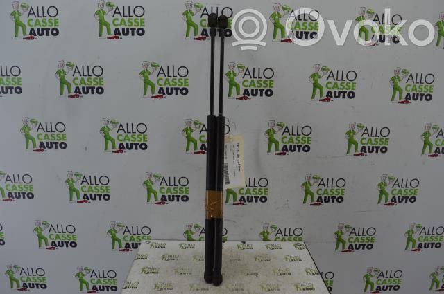 Tailgate/trunk strut/damper   4547400145