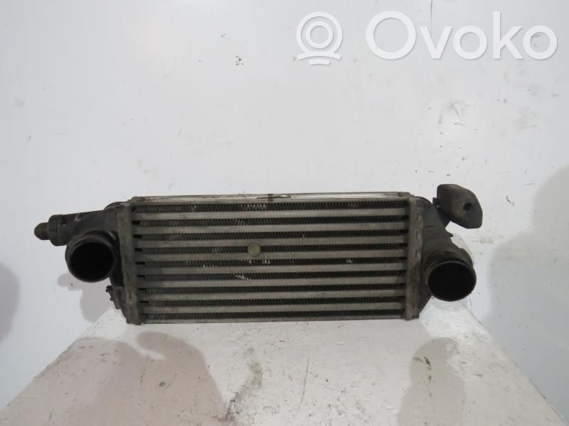 Radiador intercooler   17517788755