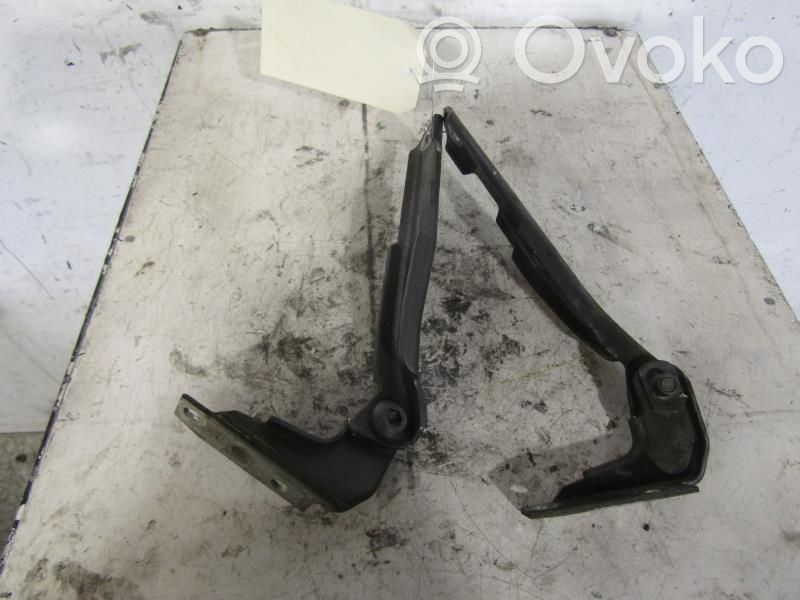 Cerniere del vano motore/cofano   4B0823301D