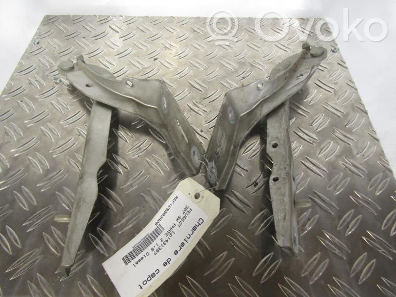Konepellin saranat   791263